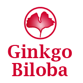 Ginkgo Biloba Jardinería y Paisajismo